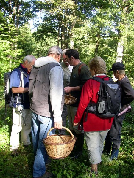 2011 07  Myco bois des Plainvaux 20
